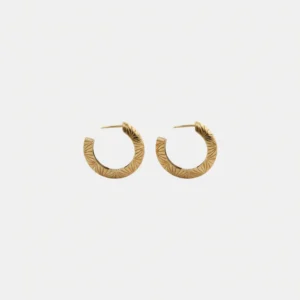 arc e (1)
